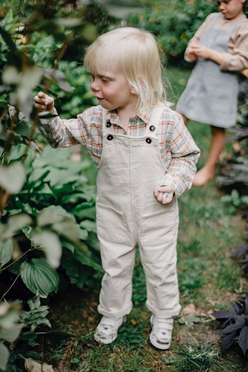 Amazed little boy touching plants while standing in garden with sister