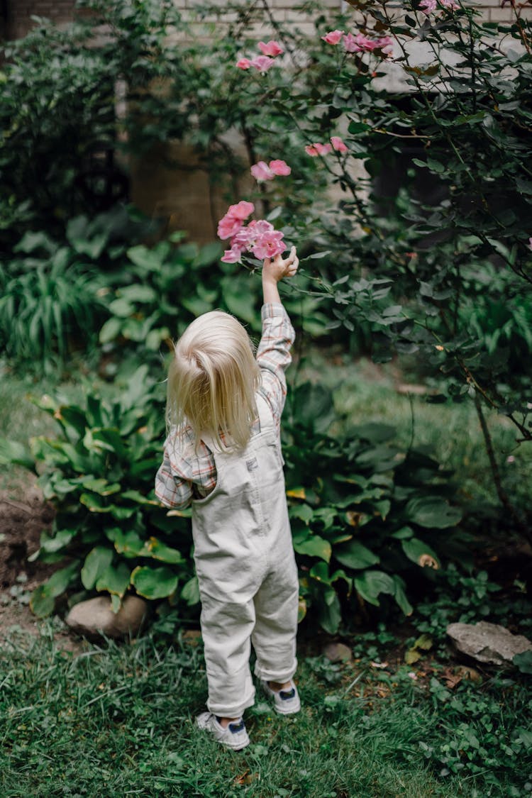 Unrecognizable Toddler Picking Flowers In Green Garden