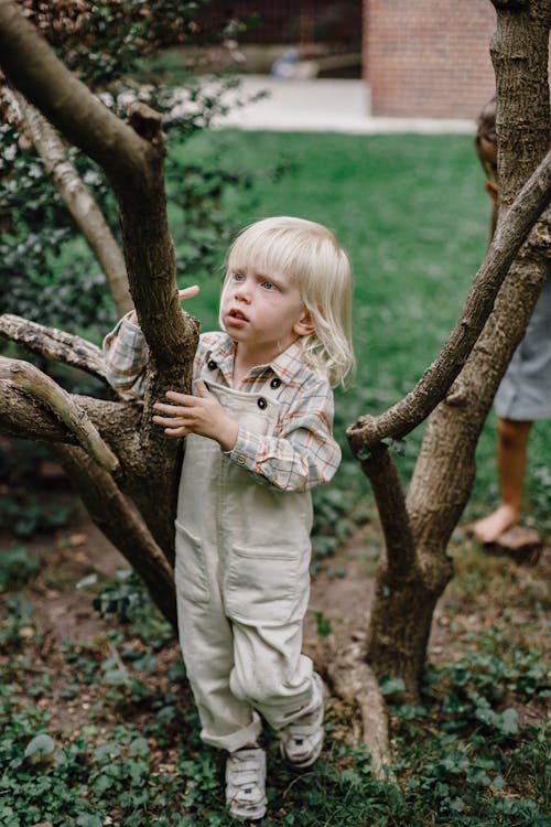 白色和棕色的长袖衬衫和灰色的裤子，站在树枝上的女孩