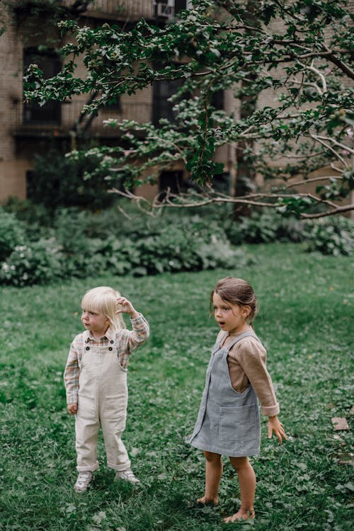 Full body of cute astonished toddlers in stylish outfit looking away on glade with verdant grass in daytime in summer