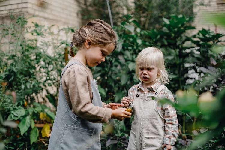 Funny Cute Children Looking At Small Fruit