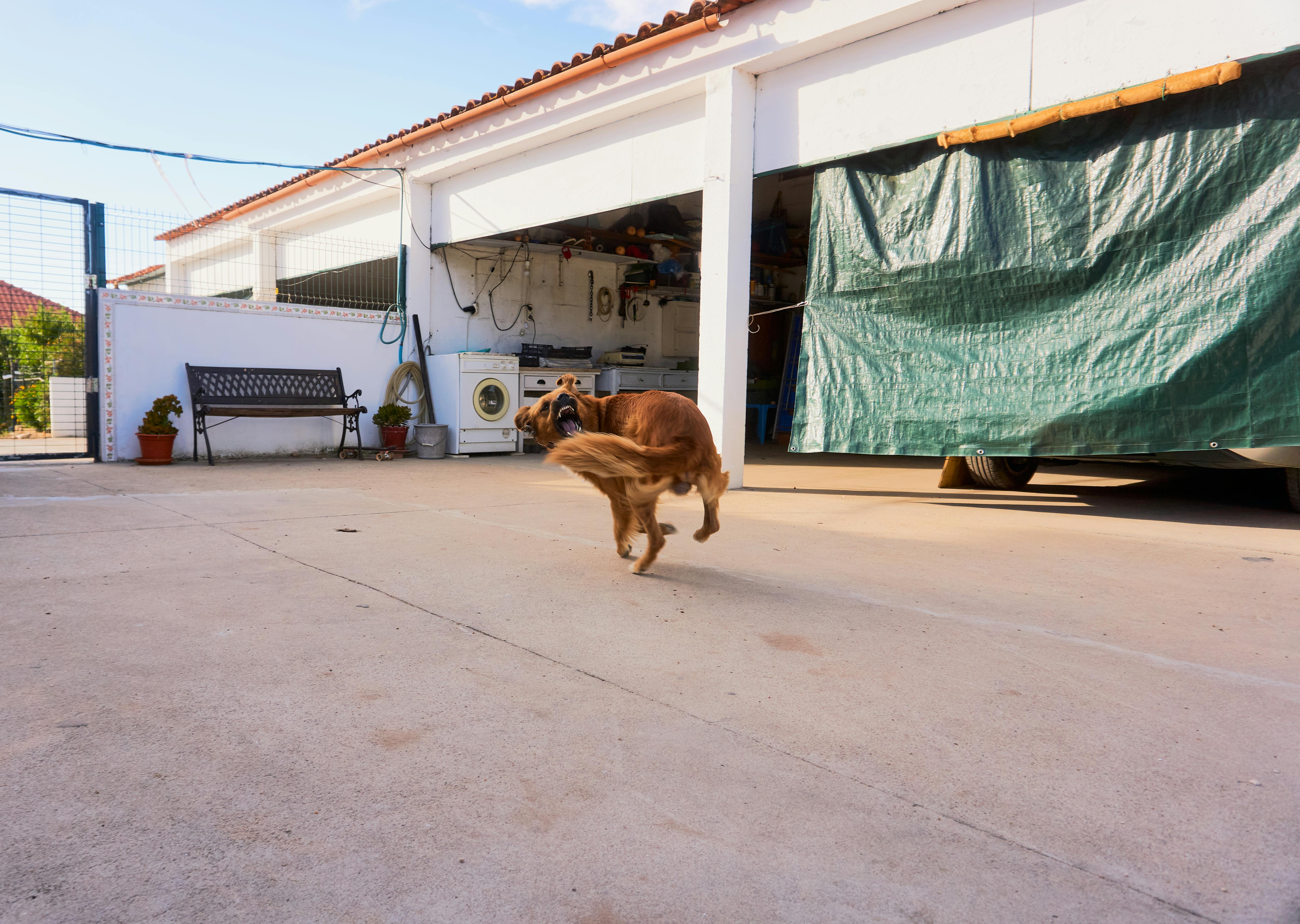 How to declutter your garage for spring cleaning — including 8 useless things a pro organizer says to ditch — Photo by Pedro 
