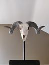 Decoration of an Animal Skull with Horns on a Stand 