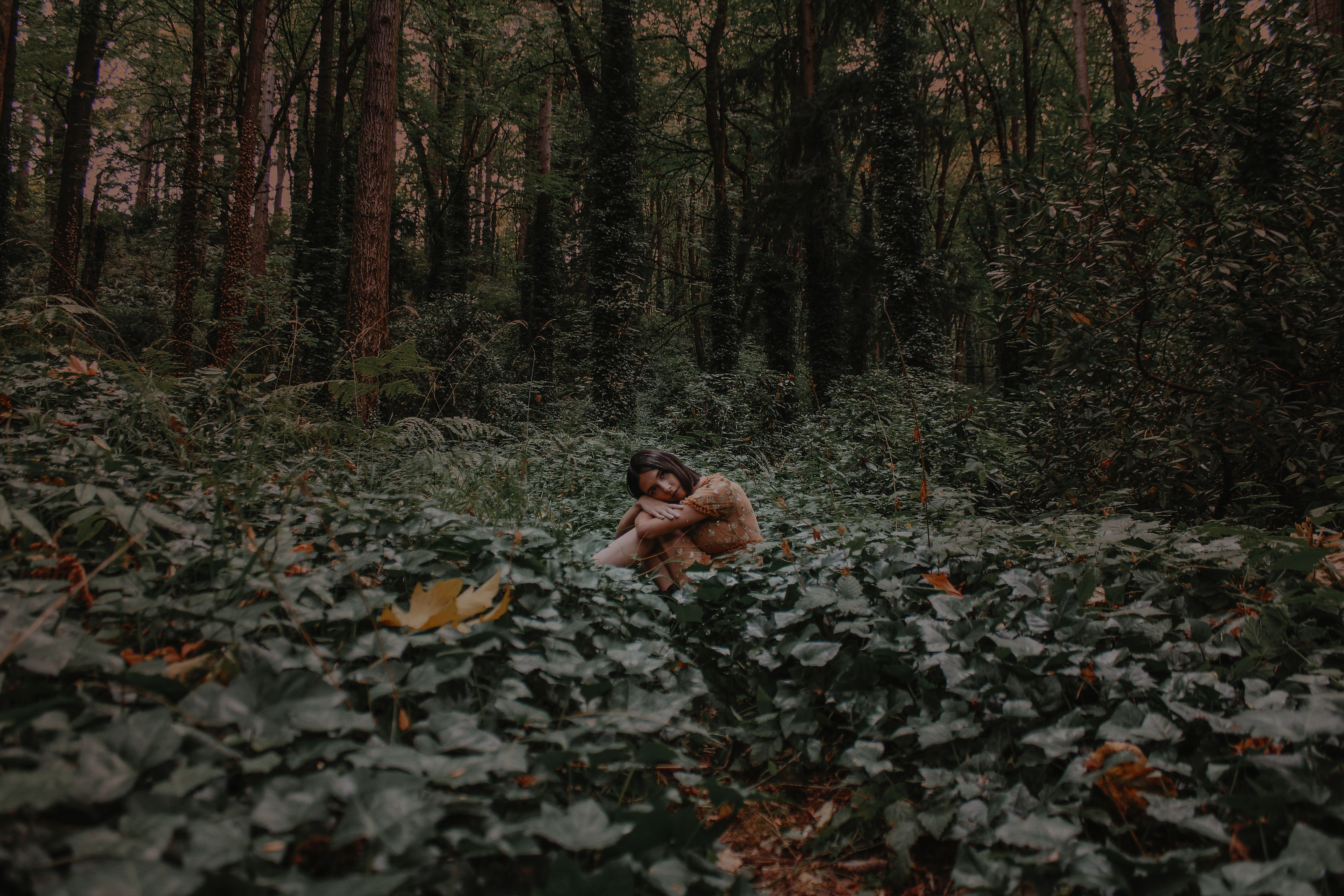 A Woman Sitting in the Forest · Free Stock Photo