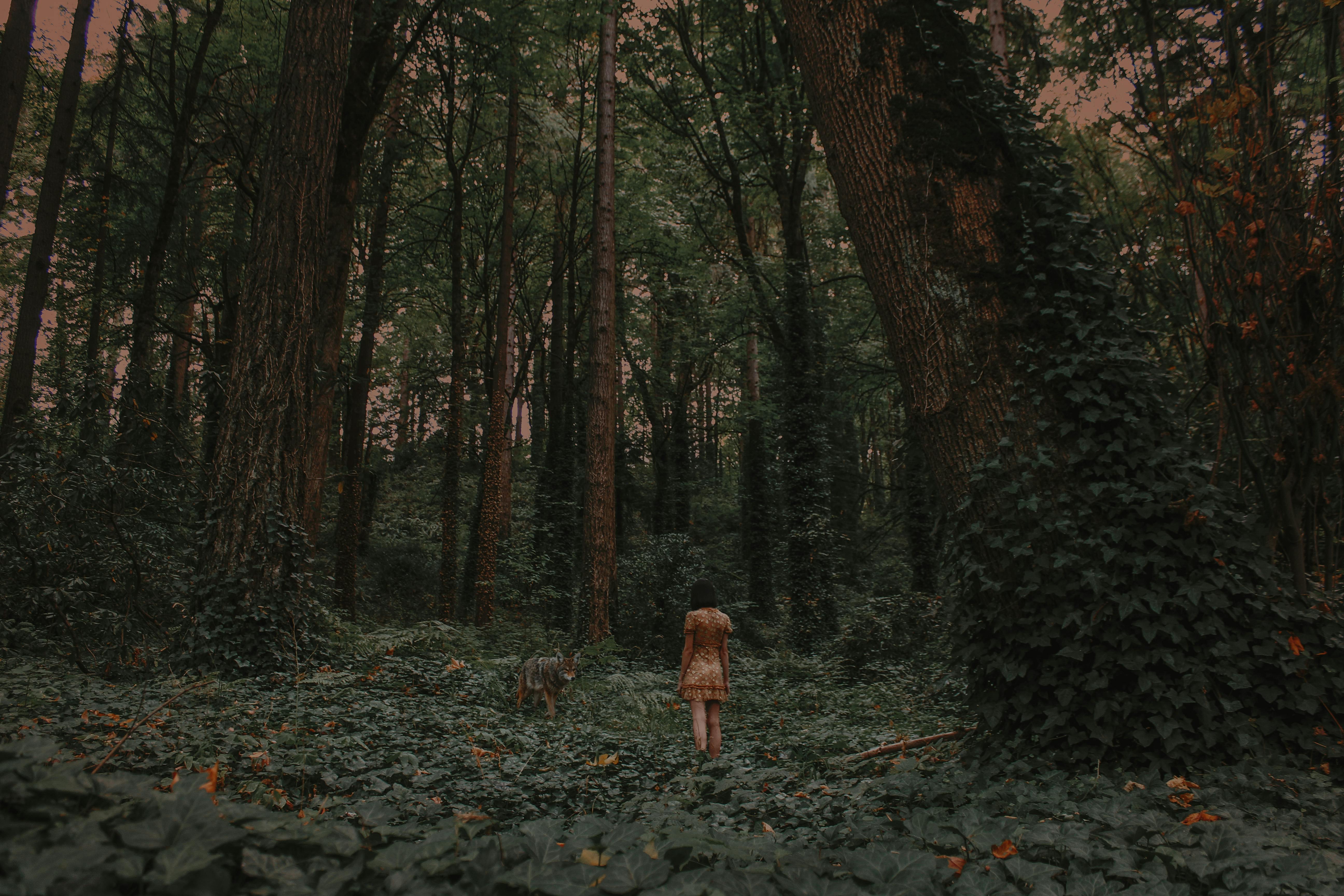A woman walks with a dog in a lush, mystical forest in Portland, Oregon.