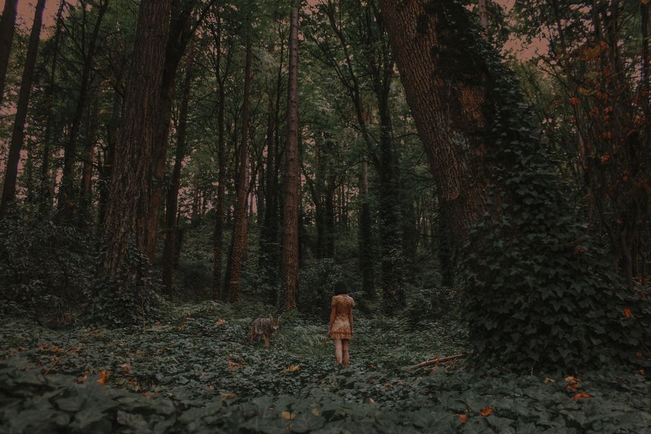 A woman walks with a dog in a lush, mystical forest in Portland, Oregon.