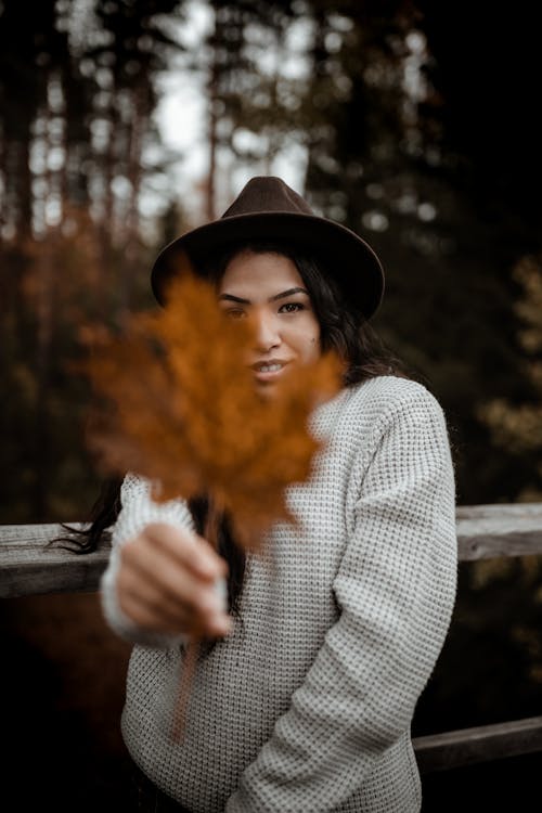 Attractive positive ethnic female in hat and knitted sweater showing yellow maple leaf while spending autumn day in park and looking at camera with pretty smile