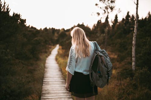 Achterkant Van De Vrouw Die Zich Op Weg Bevindt Die Rugzak Draagt