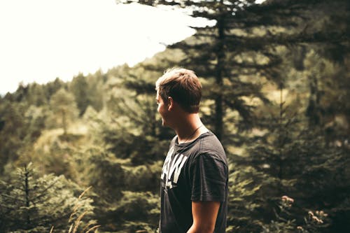 Man Standing Near Forest Trees