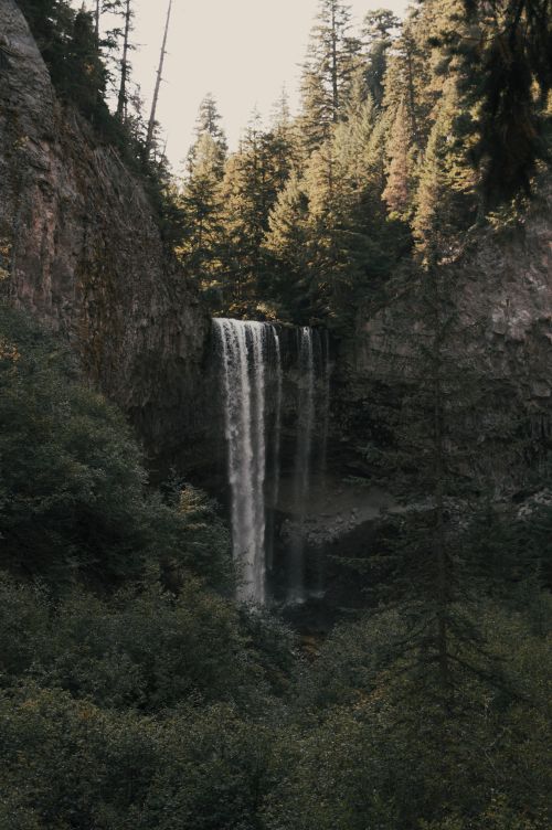 Free A breathtaking view of a waterfall cascading in an Oregon forest surrounded by lush greenery. Stock Photo