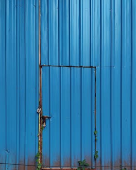 A blue corrugated metal door with a padlock and climbing vines, symbolizing security and urban decay.