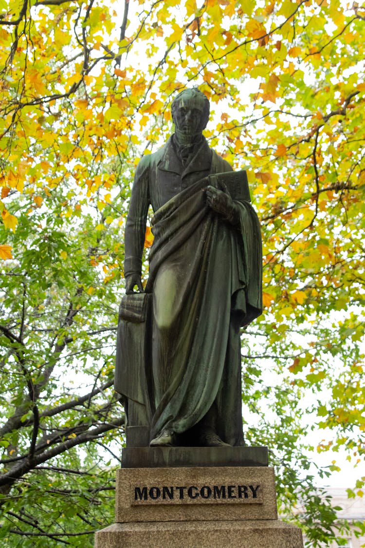 Statue Under A Green Tree