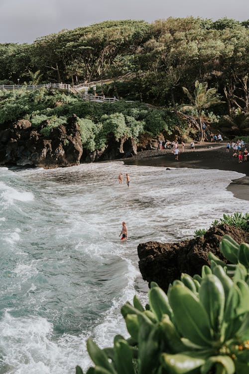 Free Aerial View of a Scenic Beach Stock Photo