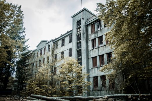 
An Old Gray Building