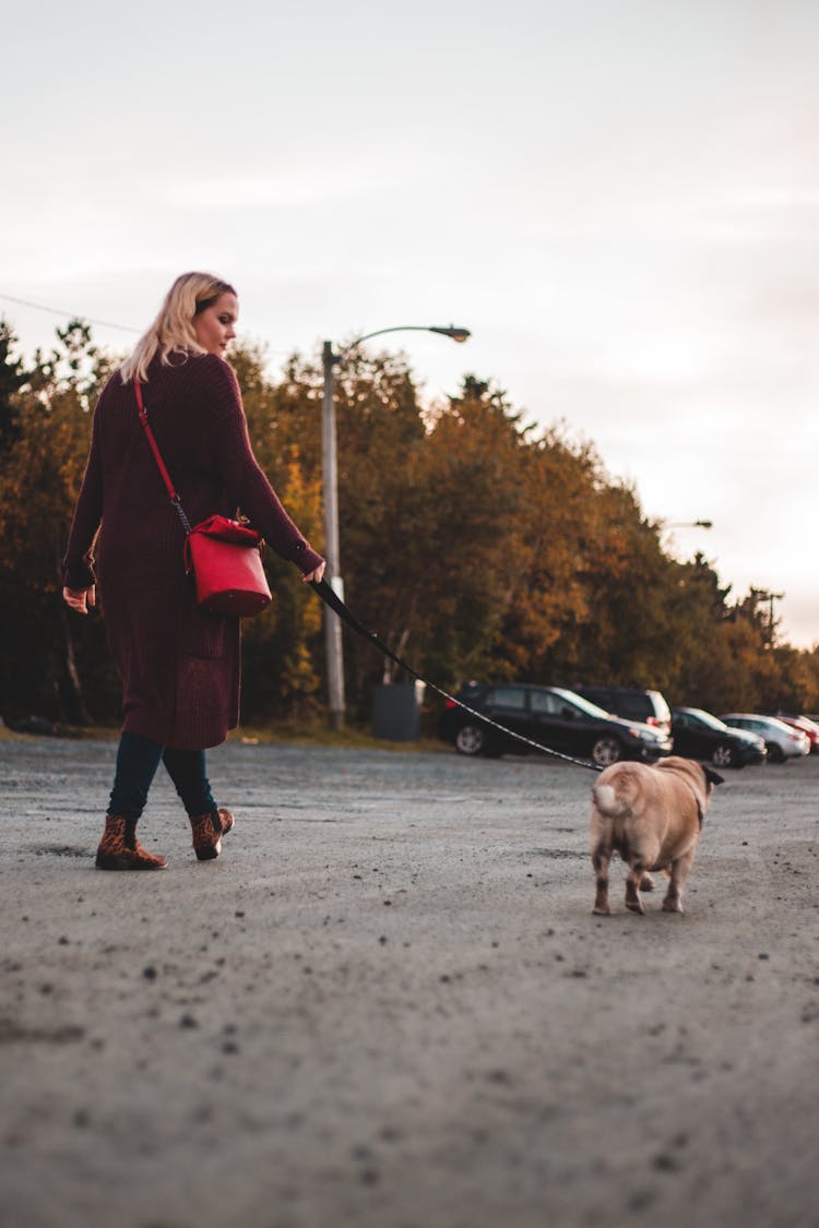 Woman Walking With Dog In Park