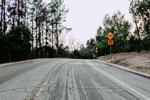 Winding road with a speed hump sign surrounded by trees, depicting a tranquil outdoor scene.