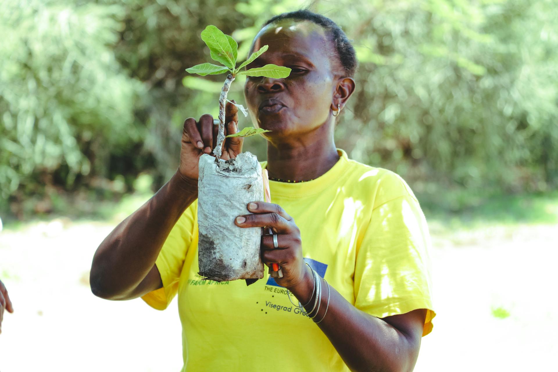 A woman carefully holds a young tree sapling in an outdoor setting, promoting environmental care.