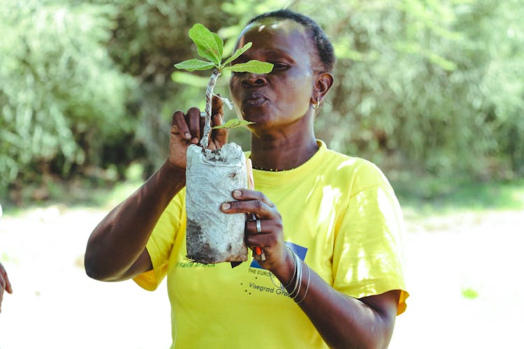 Woman Holding Sapling