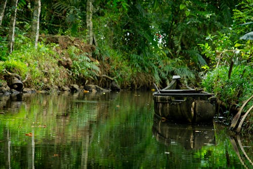 Бесплатное стоковое фото с вода, деревянная лодка, зеленый