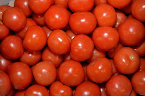 Photograph of Red Tomatoes