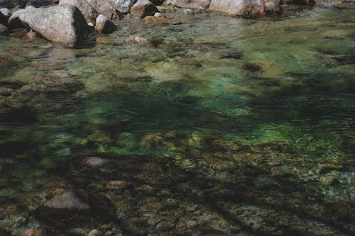 Free From above of calm river with clean shallow water and rocky bottom flowing in nature on sunny day Stock Photo