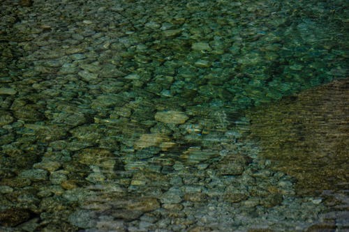 Calm water of pond with rocky bottom