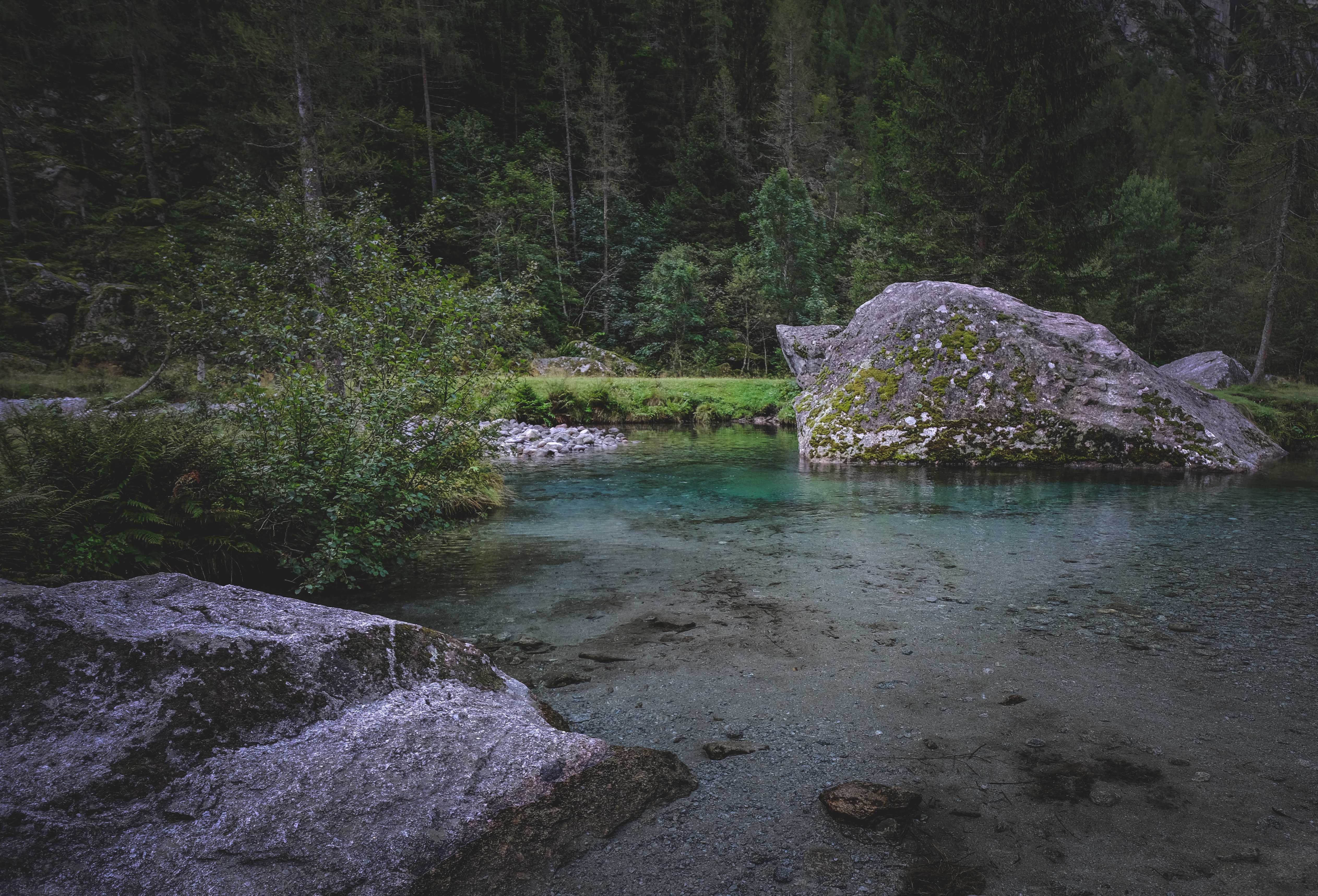 Flusslauf mit Steinen und grünem Ufer