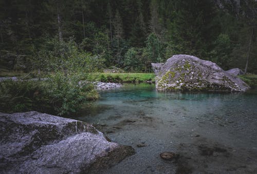 Free Spectacular landscape of calm small pond with big stone boulders in water surrounded by lush green coniferous trees in forest Stock Photo