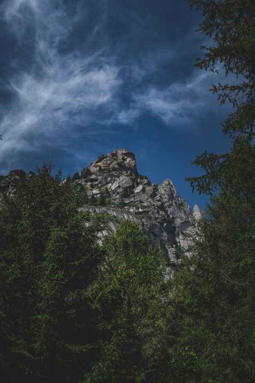Free From below of overgrown green trees against rough mount under blue sky with clouds Stock Photo