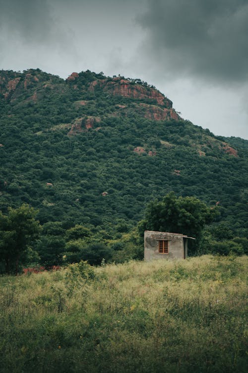 Fotos de stock gratuitas de abandonado, edificio, fotografía de naturaleza