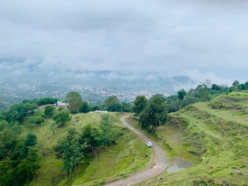 Drone Shot of Green Trees on the Mountain