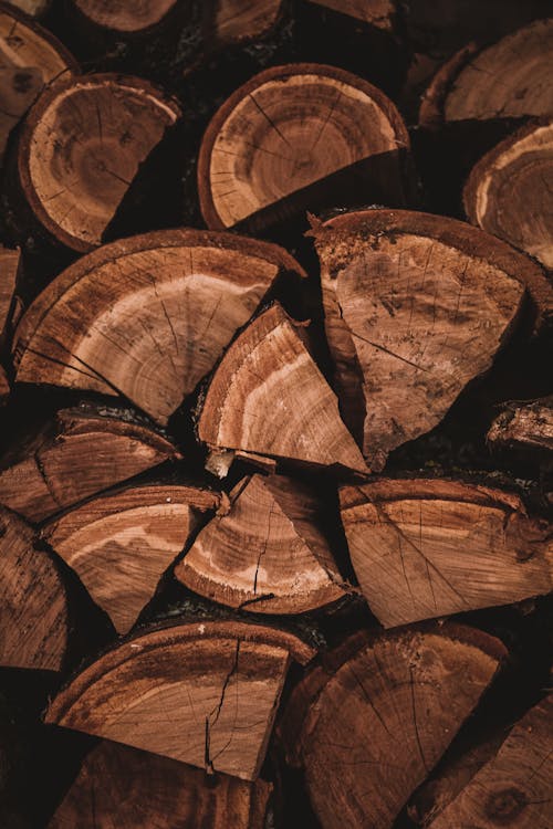 Fotos de stock gratuitas de fondo de madera, leña, pila de madera