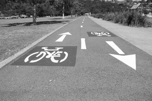 Gratis lagerfoto af asfalt, cykel vej, pile Lagerfoto