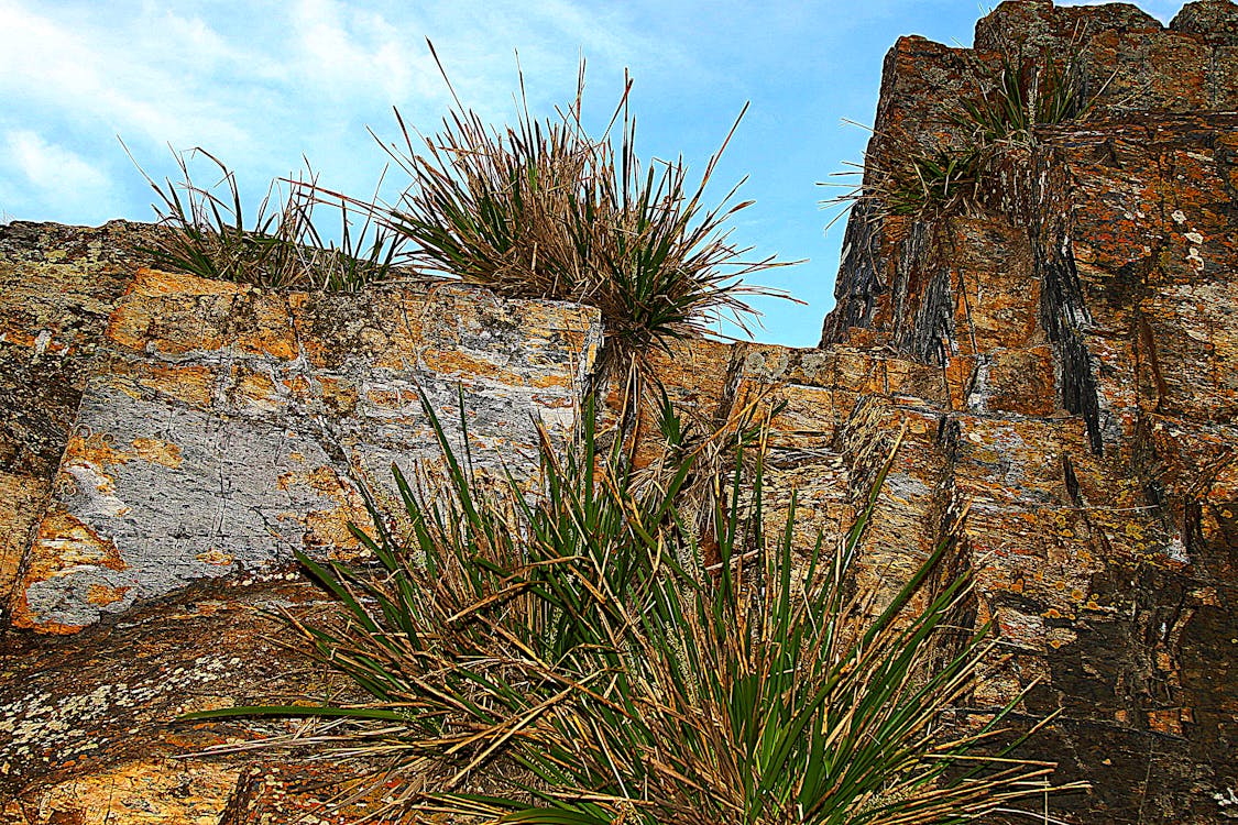 DoorDash AI虛假配送事件:2026年外送平台如何防範AI濫用風險? DoorDash AI虛假配送事件:2026年外送平台如何防範AI濫用風險?