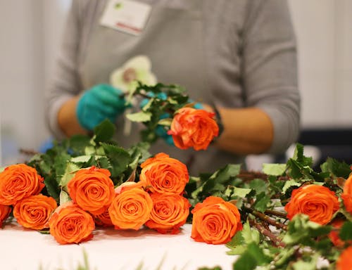 Gratis stockfoto met bloemen, boeket, oranje rozen