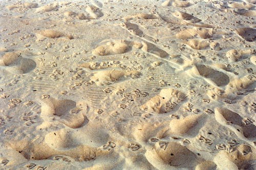 Fotobanka s bezplatnými fotkami na tému odtlačky chodidiel, piesok, pláž