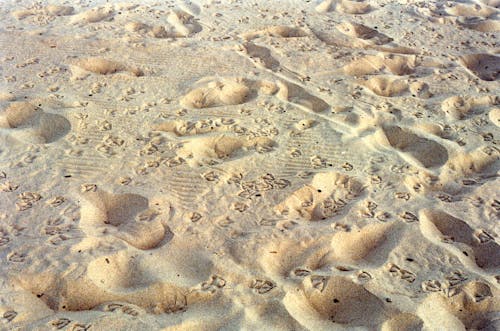 Brown Sand in Close Up Shot