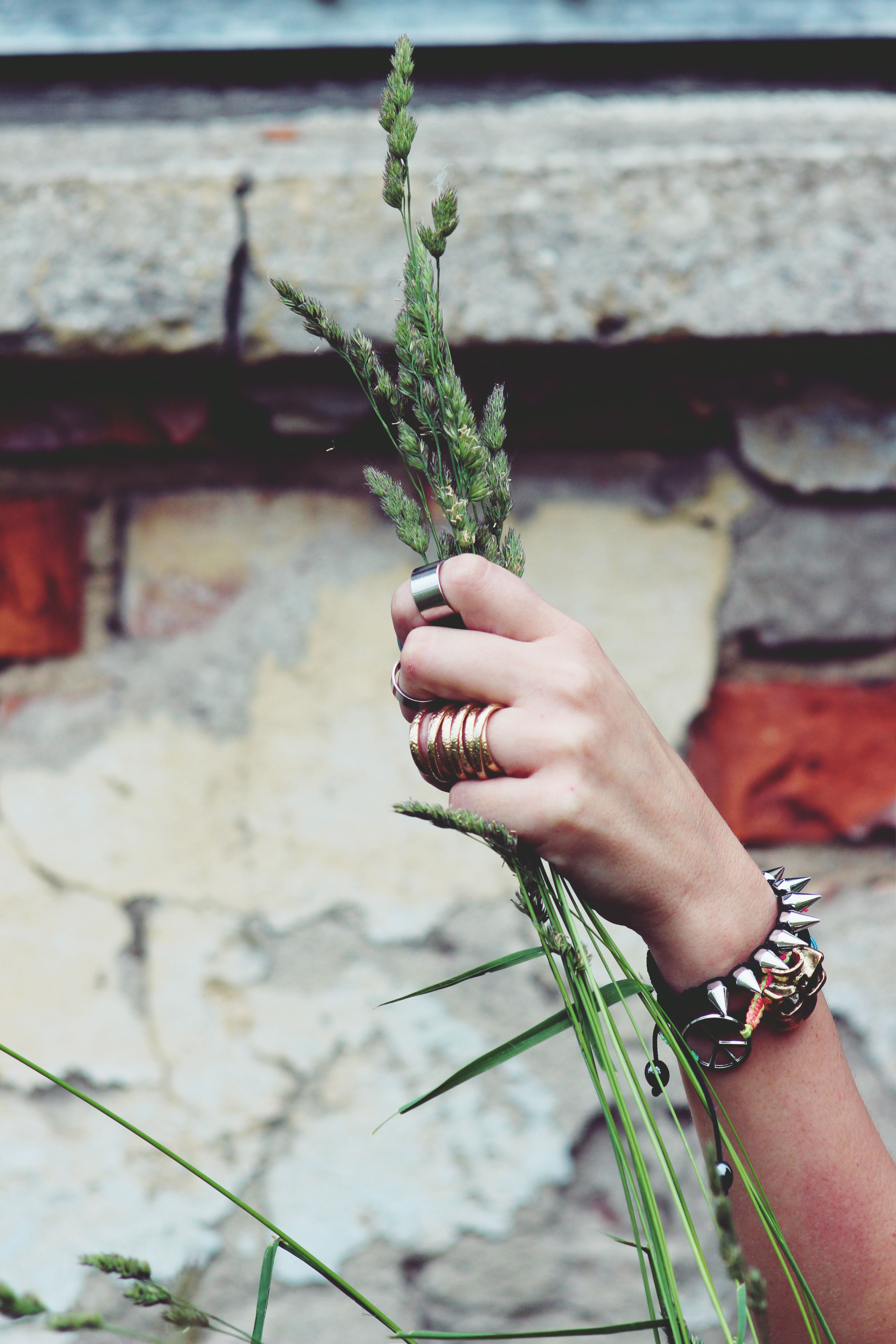 An artistic close-up of a hand with jewelry, holding green grass against a textured wall background.
