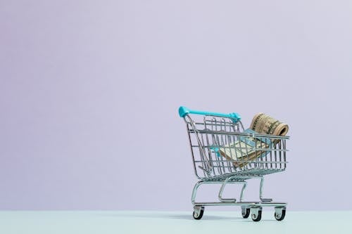 Cash Inside a Tiny Shopping Cart