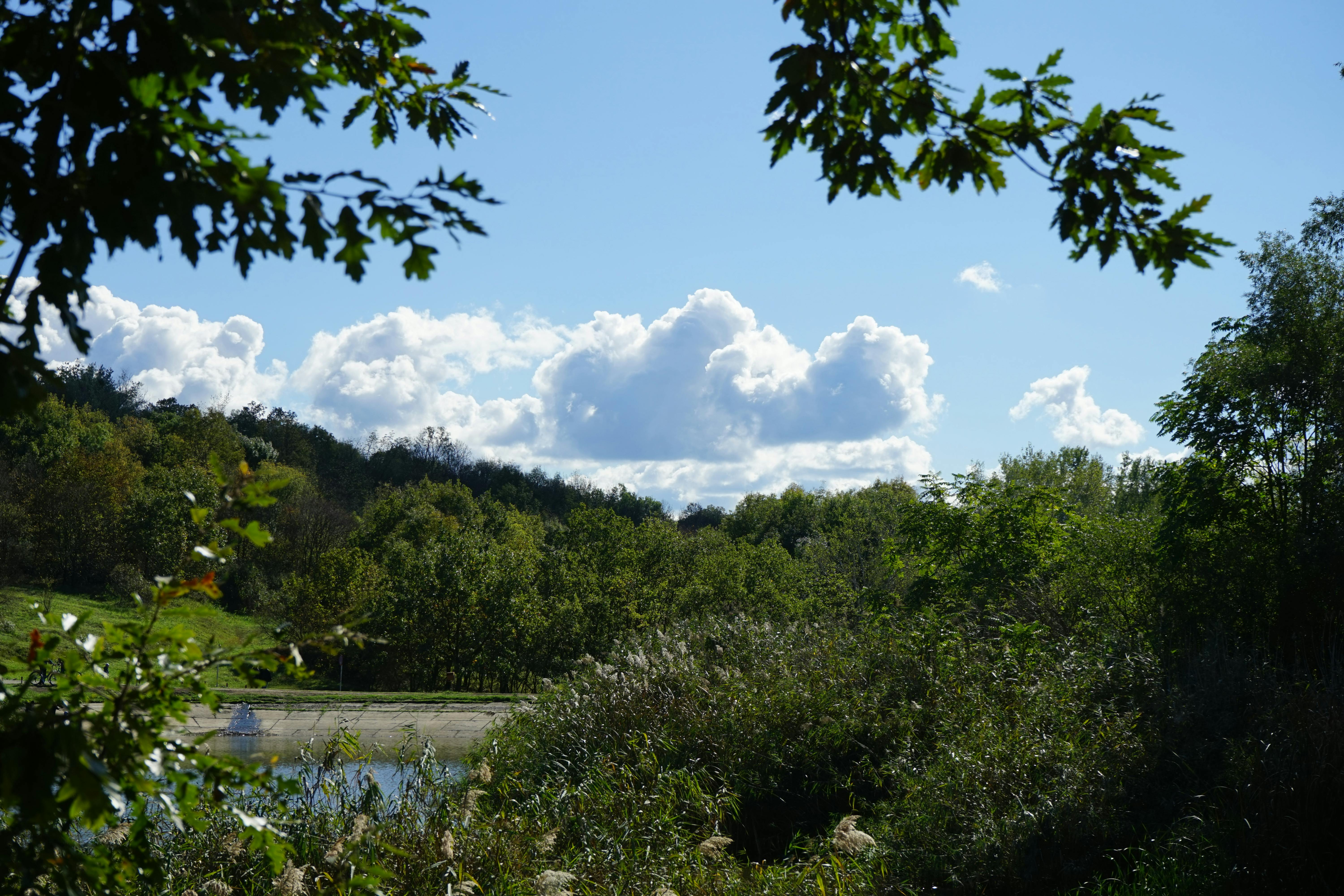 Inteligentny asystent e-commerce