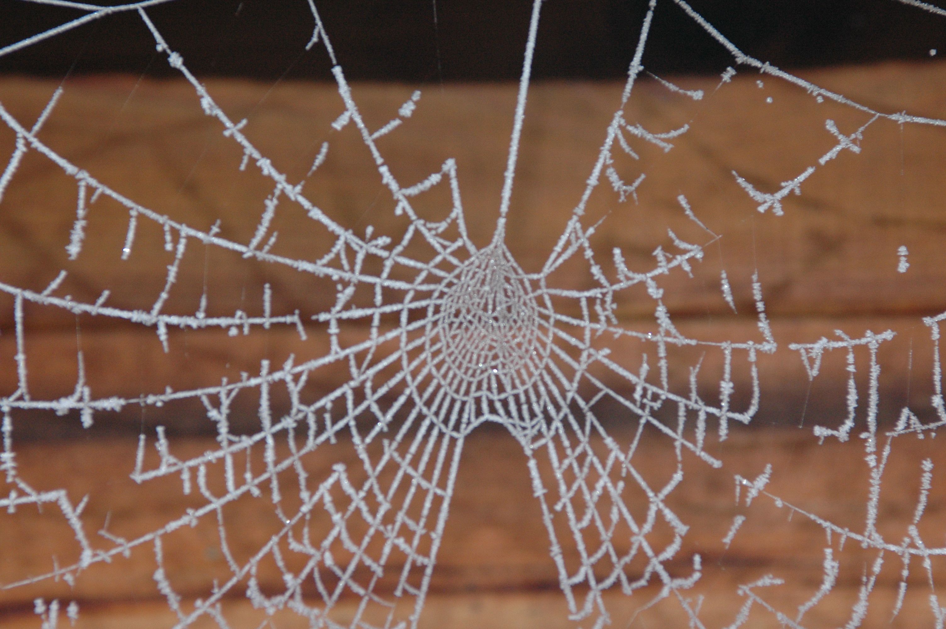 Wedding Corpus SIP — Glide paths: shifting from equity to debt as the goal date nears.