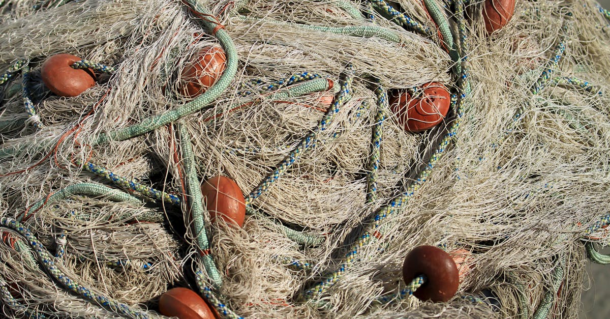 Detailed image of entangled fishing nets with floats in Porto Venere, Liguria.