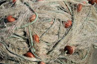 Fish Net in Close Up Shot