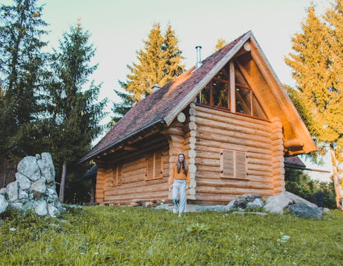 Základová fotografie zdarma na téma dřevěná chata, dřevěný dům, les