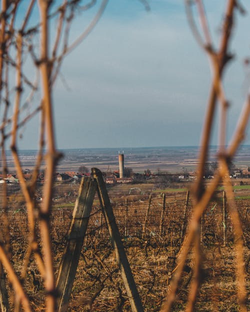 Kostenloses Stock Foto zu bauernhof-feld, blauer himmel, landschaft