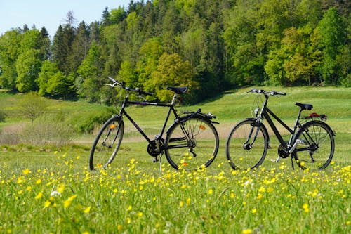 Two Bicycles on a Grassy Field