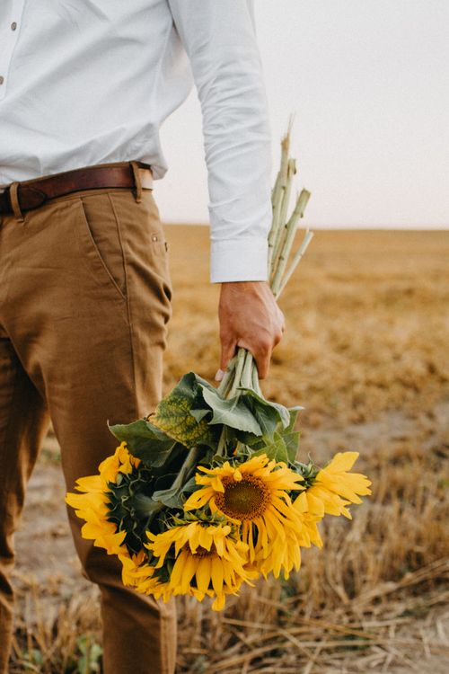 Free A person holds vibrant sunflowers in a golden field, capturing the essence of a summer day. Stock Photo