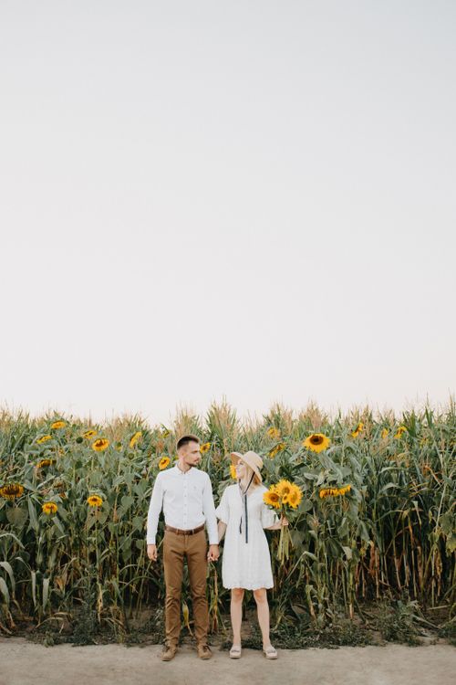 Free A couple holding hands and standing in a sunflower field during sunset, capturing a romantic moment. Stock Photo