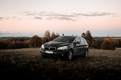 Shiny black car parked on grassy lawn in nature