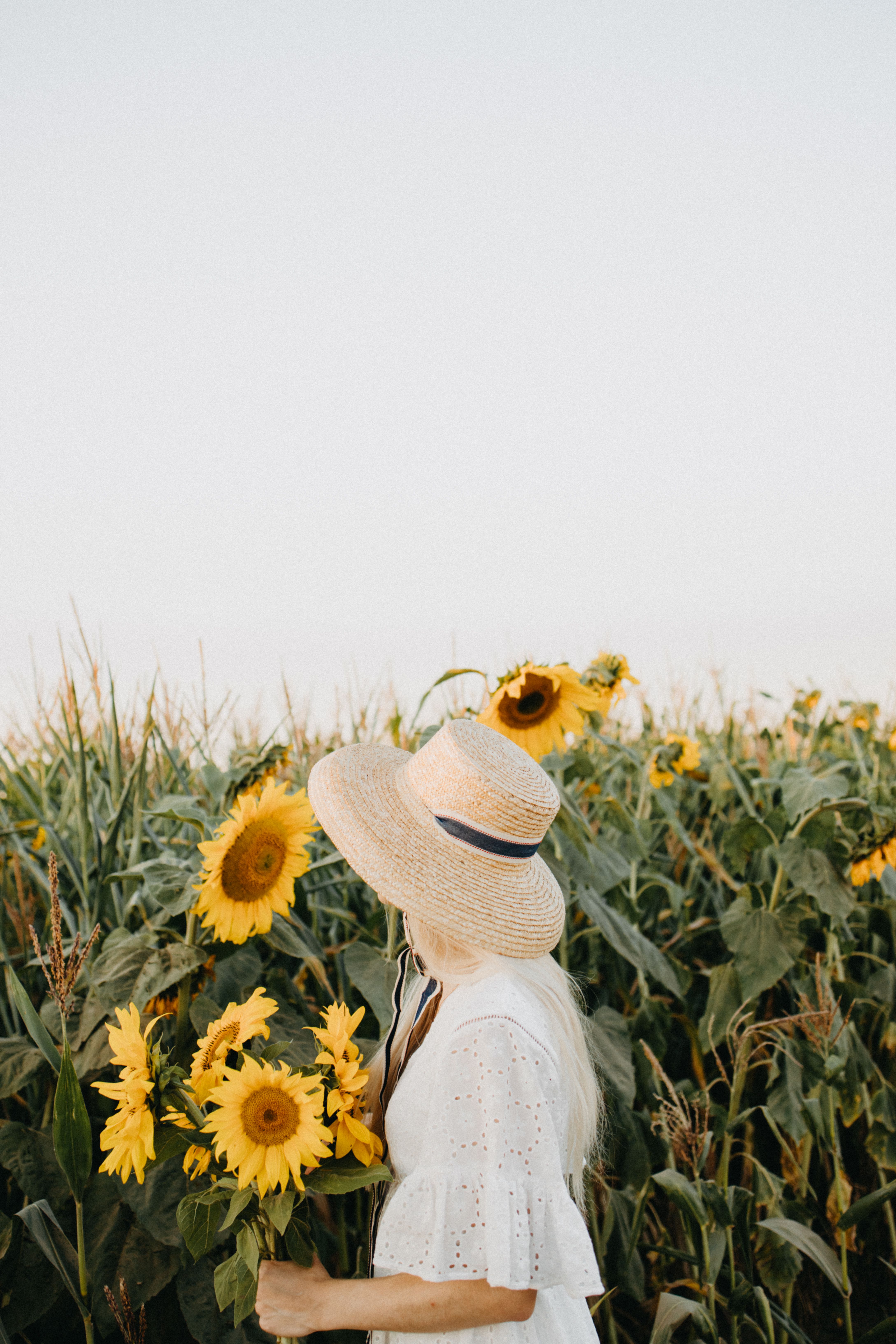 Unrecognizable Woman in Straw Hat in Sunflower Field · Free Stock Photo